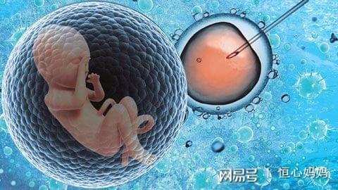关于瑞柏国际医院